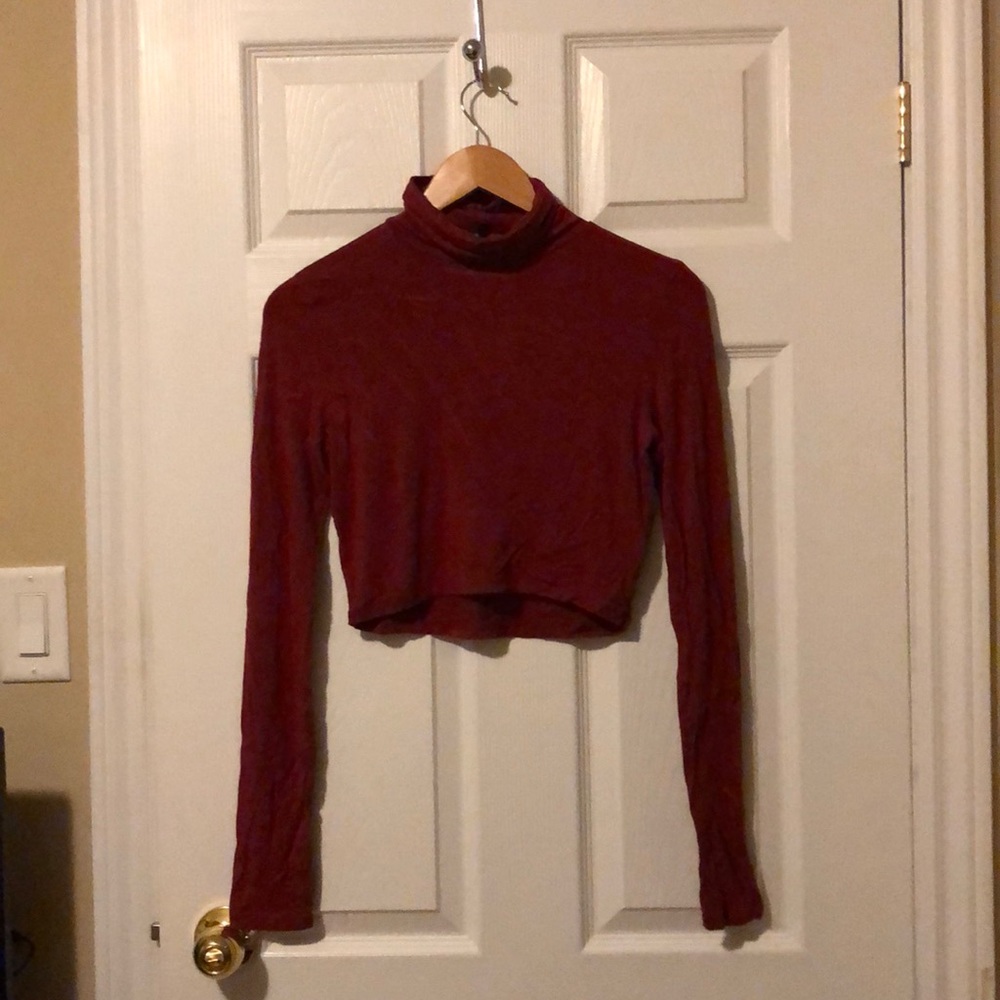 Talula Turtleneck Crop Top